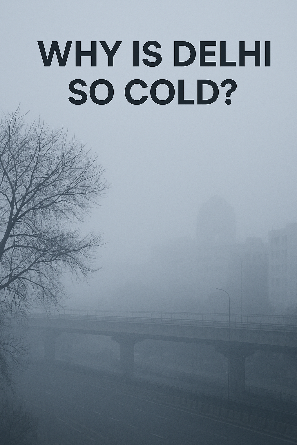 Why is Delhi So Cold? The Science Behind North India’s Winter
